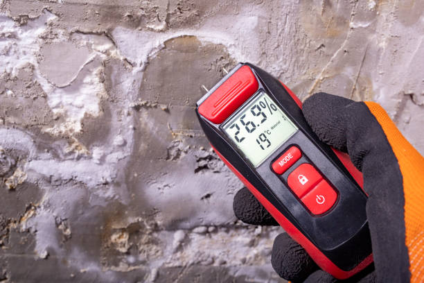 Best Affordable Mold Removal  in Olton, TX